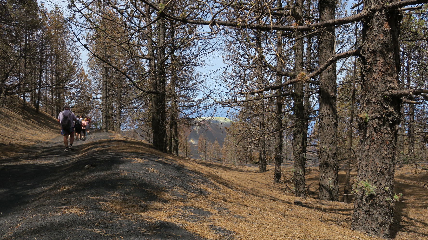 Vulkan-Exkursion La Palma - am 9. Juni 2022