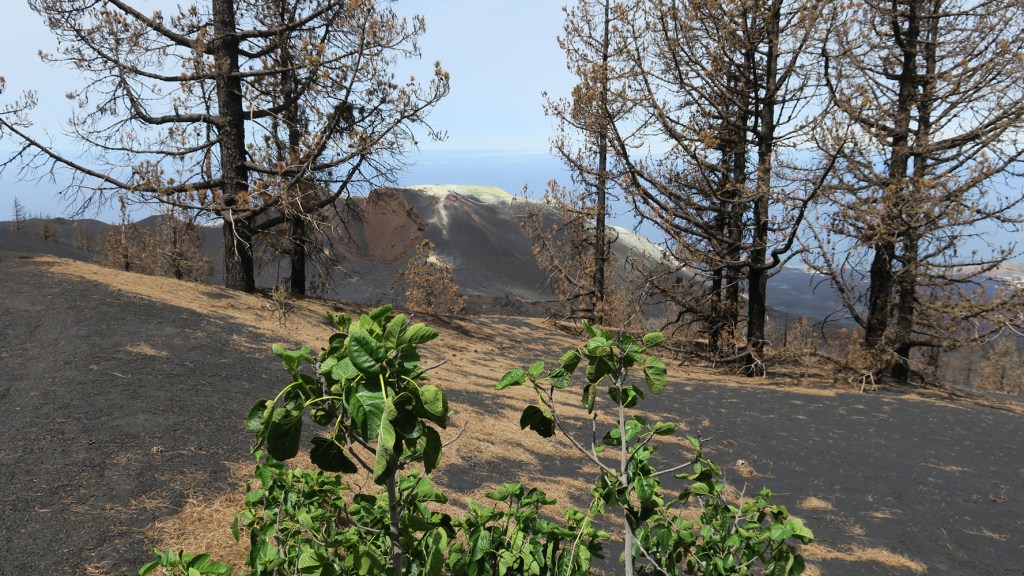 Vulkan-Exkursion La Palma - am 9. Juni 2022