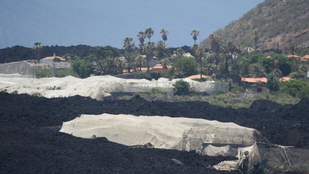 Vulkan-Exkursion La Palma - am 9. Juni 2022. Neun Monate nach der Eruption.