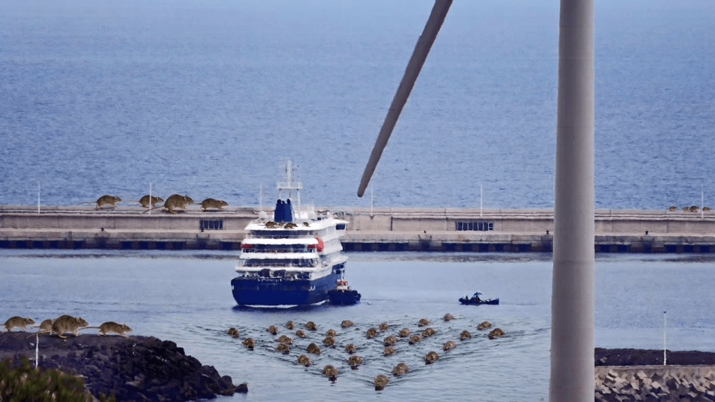 Tras el hantavirus y el MV Hondius: el puerto de Granadilla espera tiempos mejores sin „ratas“.