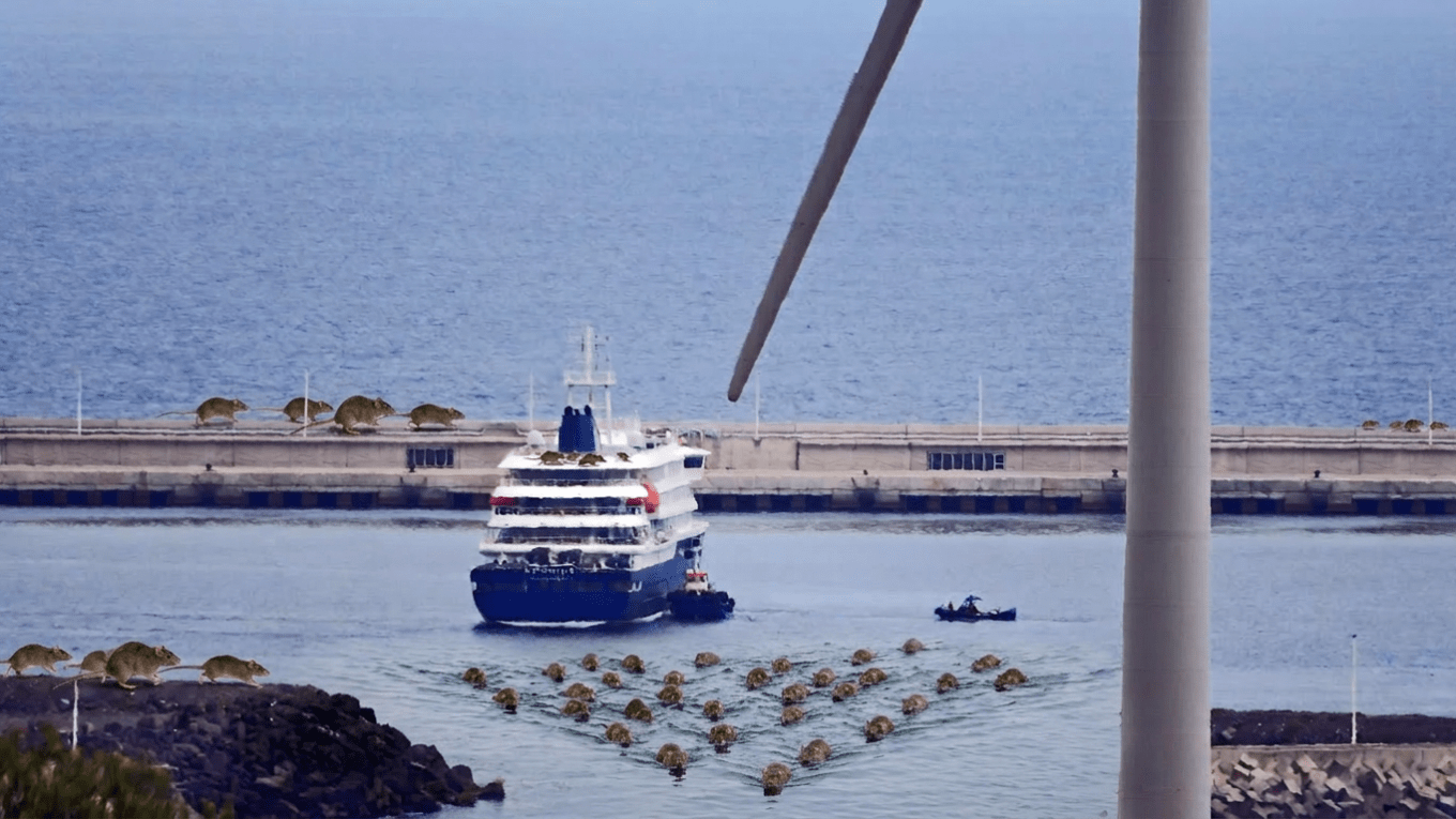 Tras el hantavirus y el MV Hondius: el puerto de Granadilla espera tiempos mejores sin „ratas“.