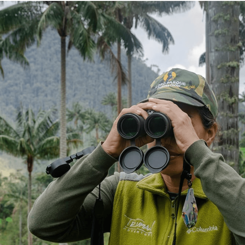 Loro Parque Fundación busca proyectos para la protección de especies en peligro de extinción en&nbsp;2027