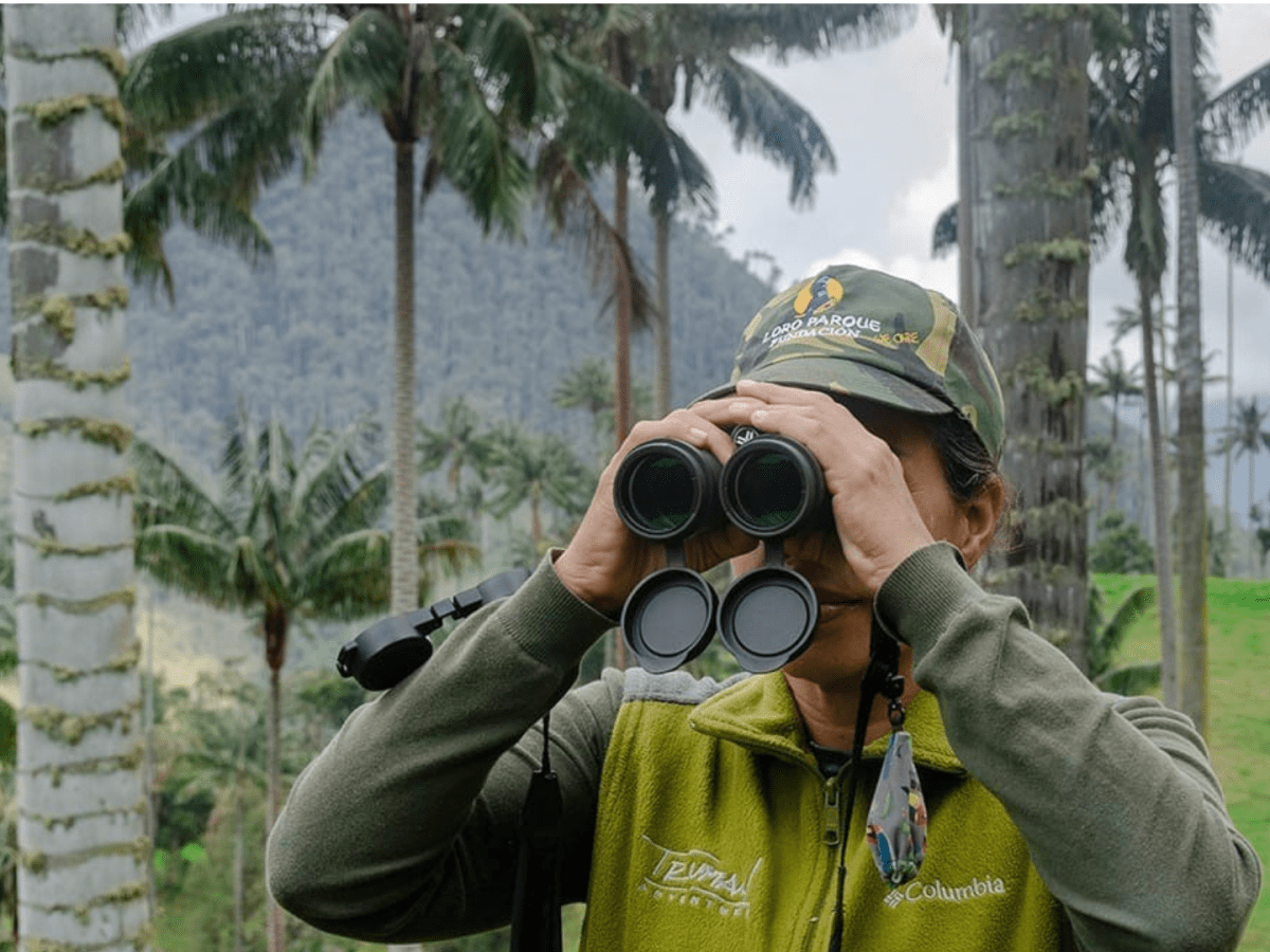 Loro Parque Fundación busca proyectos para la protección de especies en peligro de extinción en&nbsp;2027