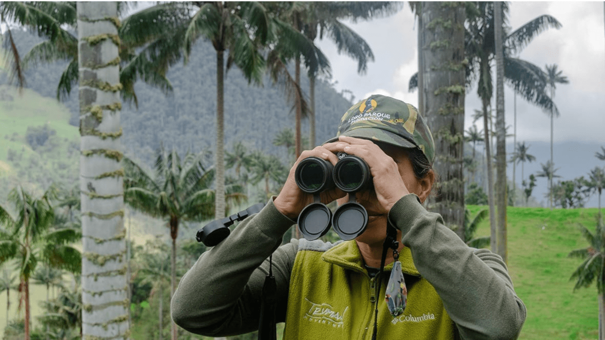 Loro Parque Fundación busca proyectos para la protección de especies en peligro de extinción en&nbsp;2027