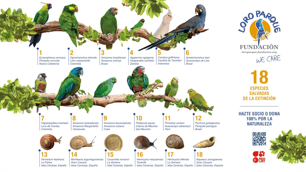Loro Parque Stiftung sucht Projekte zum Schutz bedrohter Tierarten im Jahr&nbsp;2027